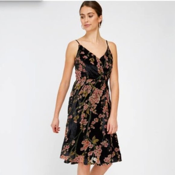 Dex Burnout Velvet Dress - Picture 1 of 14